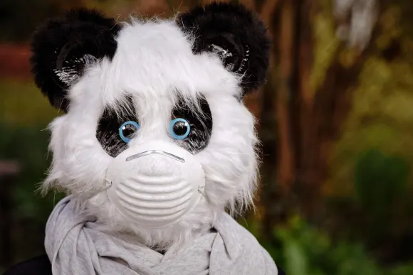 BetOriginal Spilavíti Stuðningur